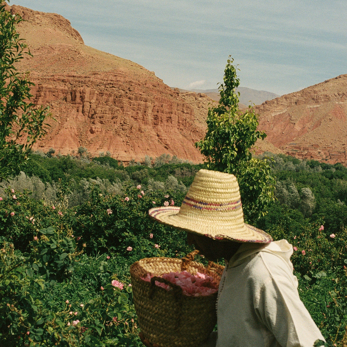 Radiant Roots: A Journey into Ethical Skincare with Rezzi, Founder of Kanobe