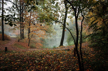 Autumn Rituals: Dry Skin And The Changing Air