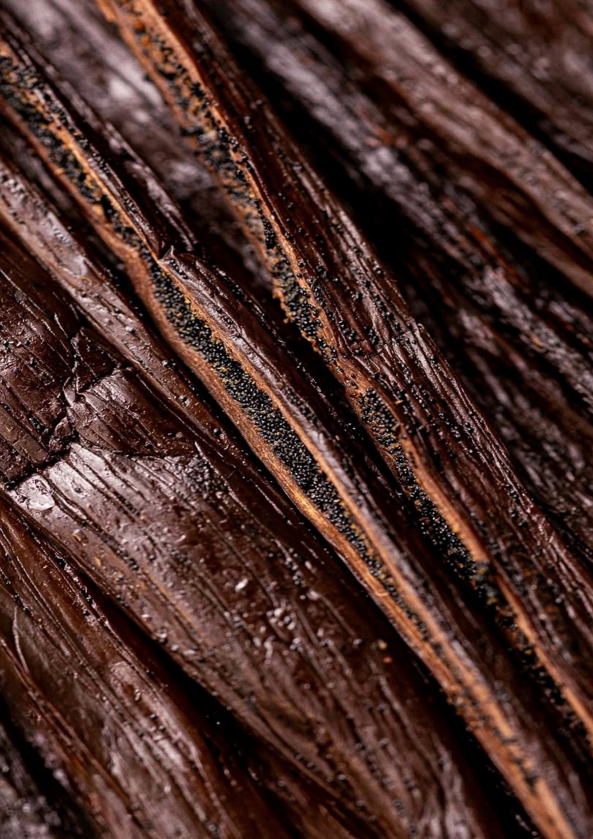 Vanilla & Cardamom Body Oil