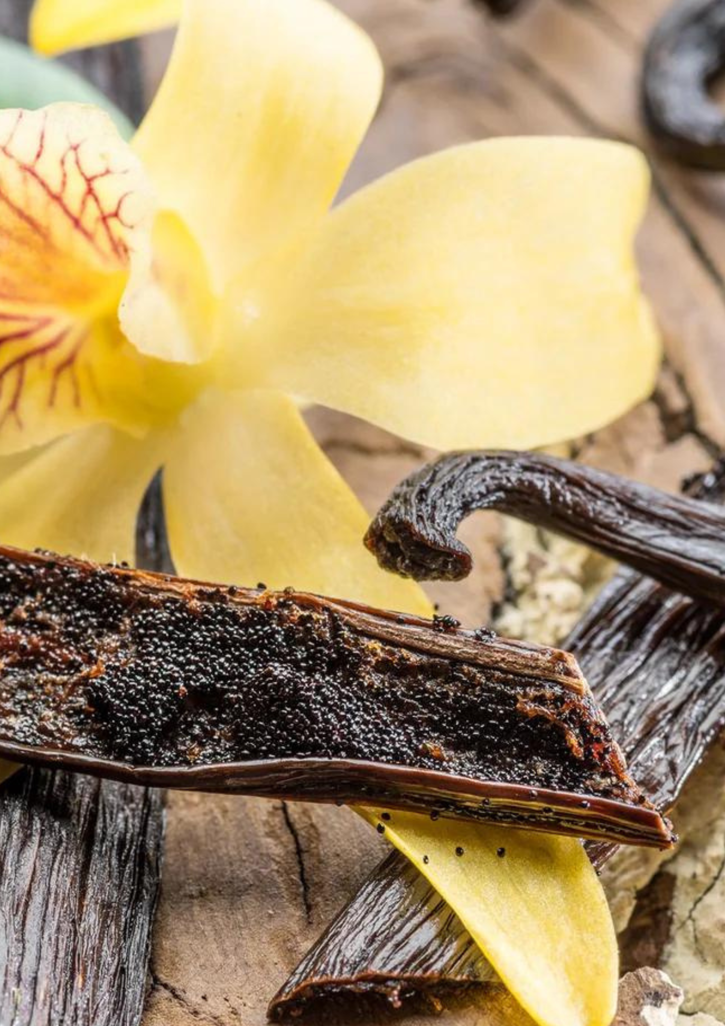 Vanilla & Cardamom Body Oil