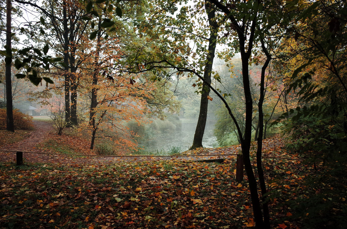 Autumn Rituals: Dry Skin And The Changing Air