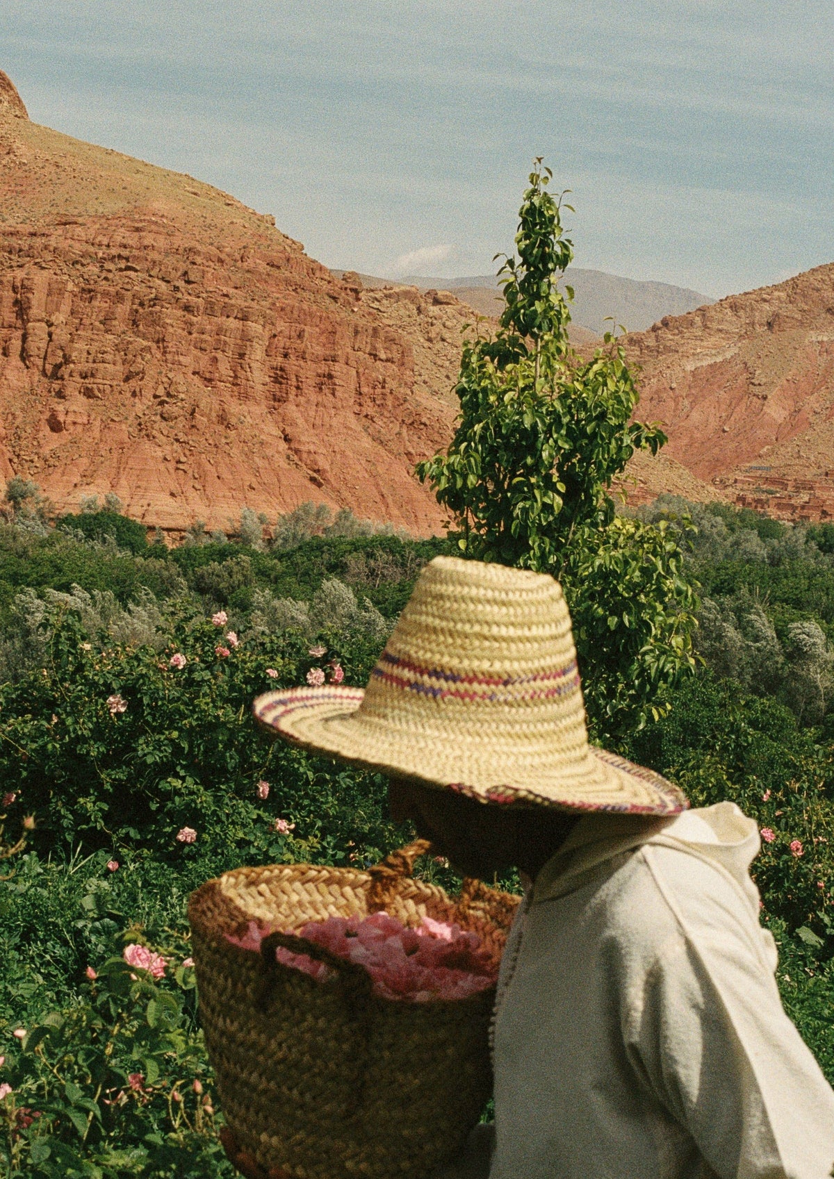 Baume à l'huile de rose et argan