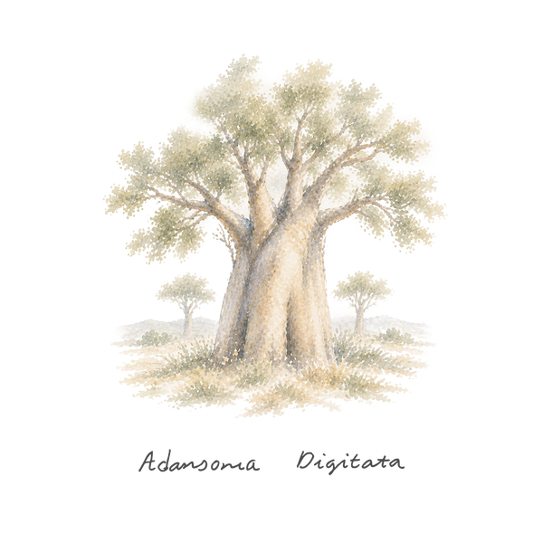 BAOBAB